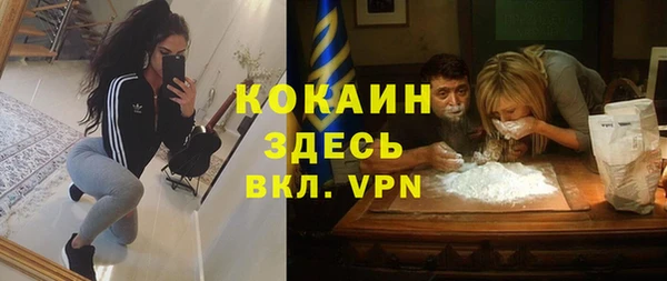 шишки Балахна
