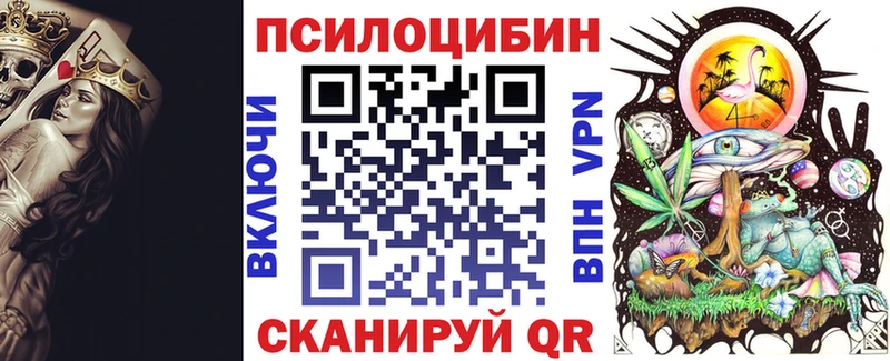 Псилоцибиновые грибы Cubensis  Ефремов 